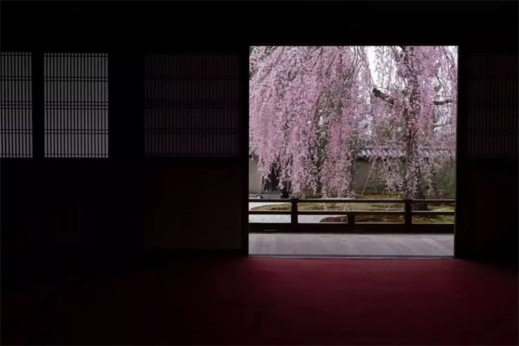 酒店空間設(shè)計(jì)效果圖